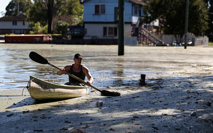 Felaketten sonra salgın başladı! 10 dakikada öldürüyor her yerdeler - Resim: 4