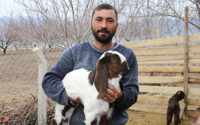 Elazığ'da kimse anlamadı süt için aldığı keçiler çift çift kuzulamaya başladı - Resim: 1