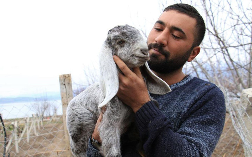 Elazığ'da kimse anlamadı süt için aldığı keçiler çift çift kuzulamaya başladı - Resim: 4
