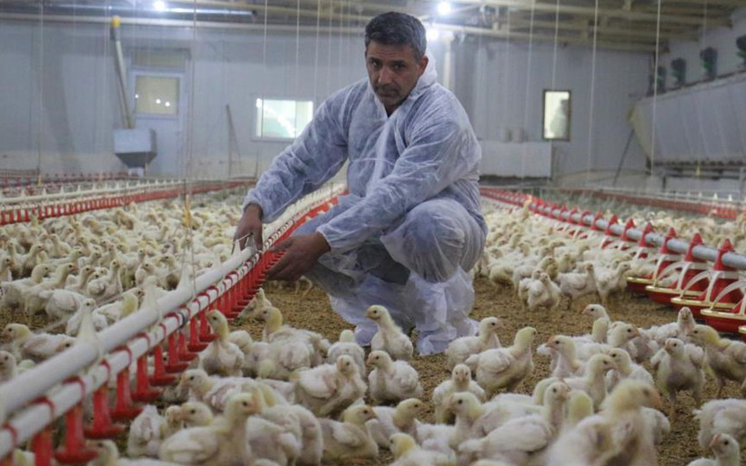 Elazığ'da müteahhitliği bırakıp başladı! 600 ton üretiyor yıllık kazancı dudak uçuklattı - Resim: 1