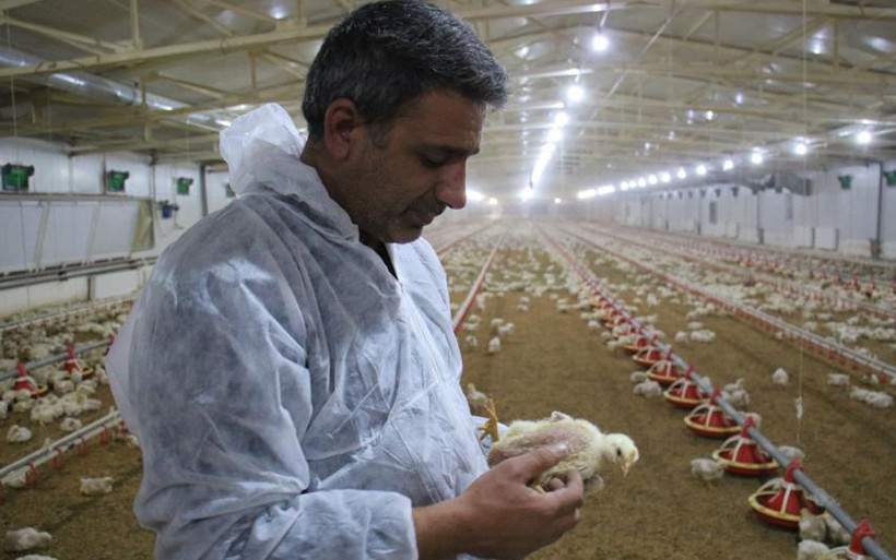 Elazığ'da müteahhitliği bırakıp başladı! 600 ton üretiyor yıllık kazancı dudak uçuklattı - Resim: 4