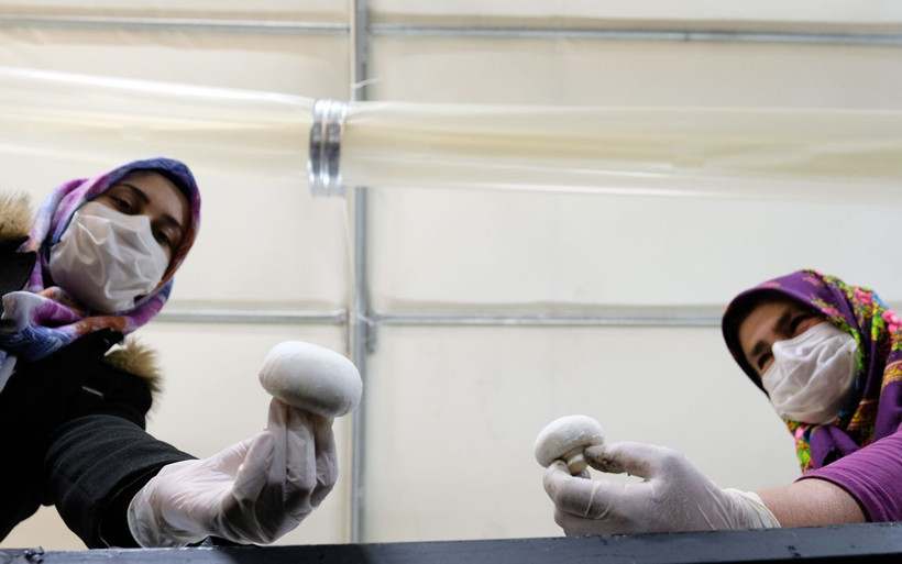 Konya Orta Toroslar’da başka kimse yapamıyor! Gelin- kaynana iş arkadaşı oldu - Resim: 3