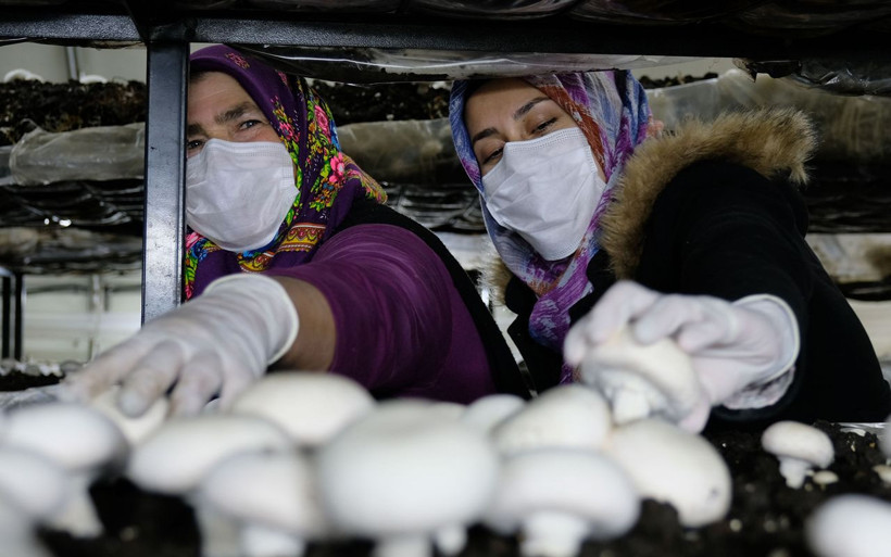 Konya Orta Toroslar’da başka kimse yapamıyor! Gelin- kaynana iş arkadaşı oldu - Resim: 4