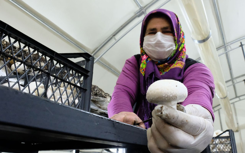 Konya Orta Toroslar’da başka kimse yapamıyor! Gelin- kaynana iş arkadaşı oldu - Resim: 2