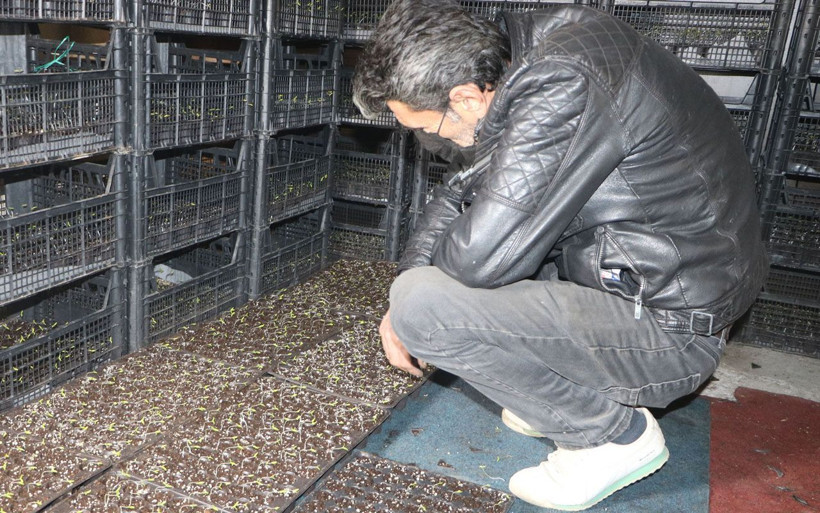 Hakkari'de bu iş için evinden vazgeçti! Bu yıl servet kazanacağını söylüyor - Resim: 1