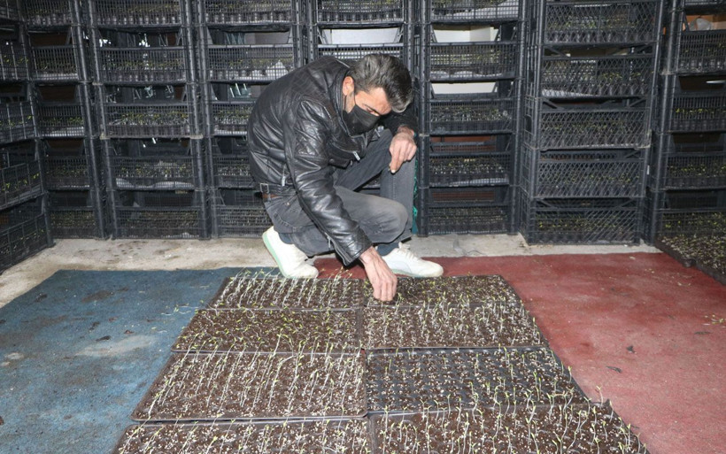 Hakkari'de bu iş için evinden vazgeçti! Bu yıl servet kazanacağını söylüyor - Resim: 2