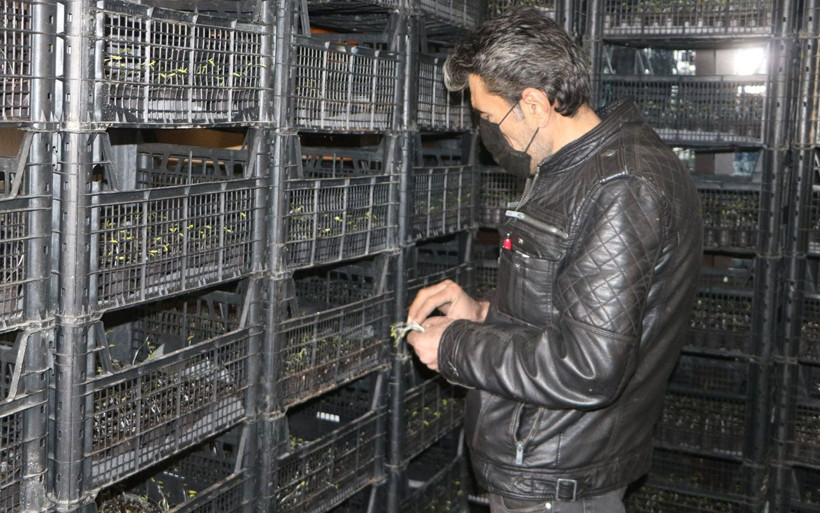 Hakkari'de bu iş için evinden vazgeçti! Bu yıl servet kazanacağını söylüyor - Resim: 4