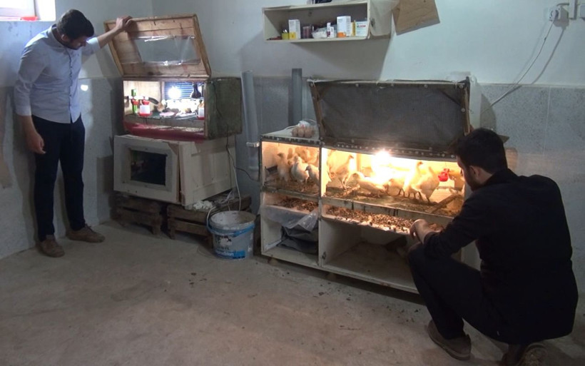 Malatya'da 'kazanamazsınız' dediler gelir kapısı oldu! Üniversiteli kardeşler dövizle çalışıyor - Resim: 1