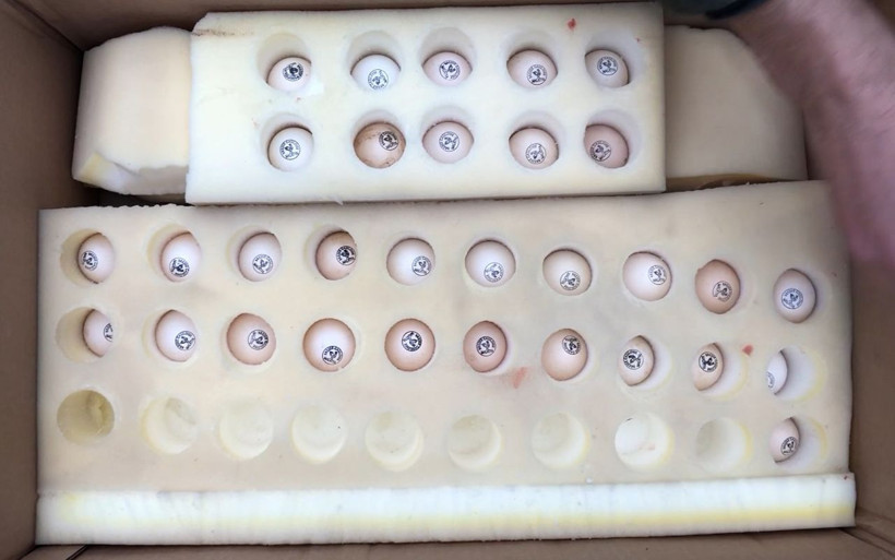 Malatya'da 'kazanamazsınız' dediler gelir kapısı oldu! Üniversiteli kardeşler dövizle çalışıyor - Resim: 4