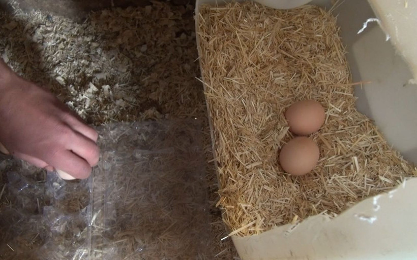 Malatya'da 'kazanamazsınız' dediler gelir kapısı oldu! Üniversiteli kardeşler dövizle çalışıyor - Resim: 3