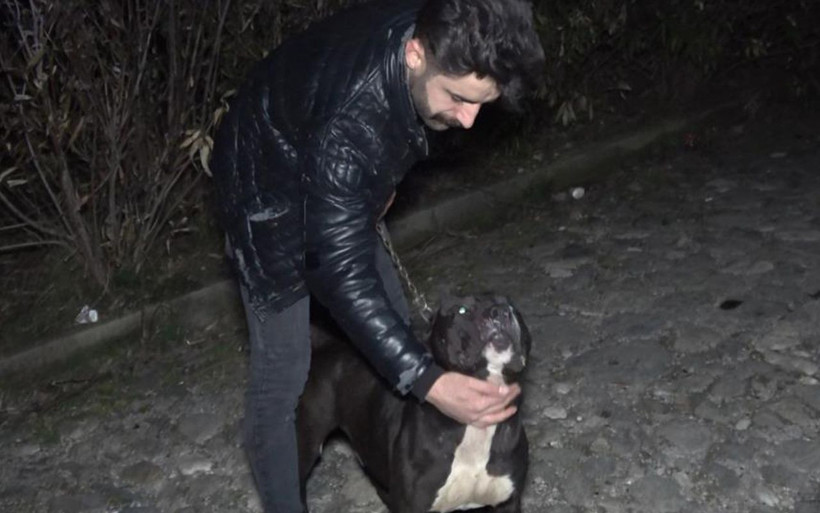 Bursa'da tecavüzcüyü köpek yakaladı esnaf dövdü! Kadını ormana çekti - Resim: 3