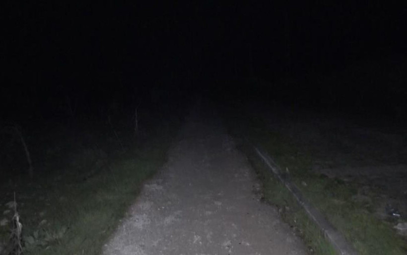 Bursa'da tecavüzcüyü köpek yakaladı esnaf dövdü! Kadını ormana çekti - Resim: 1