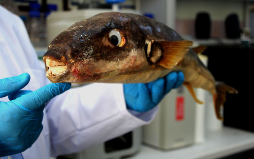 'Türkiye'de ölümlerle karşılaşma riskimiz var' uyarısı! 'Büyük tehlike' ekonomiyi vurabilir - Resim: 2