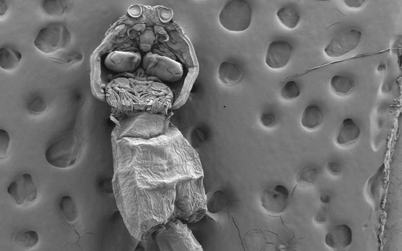 'Türkiye'de ölümlerle karşılaşma riskimiz var' uyarısı! 'Büyük tehlike' ekonomiyi vurabilir - Resim: 3