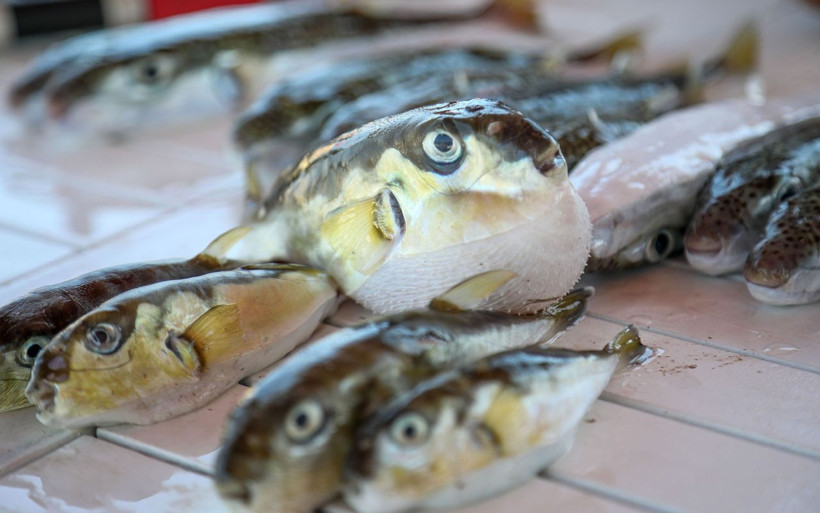 'Türkiye'de ölümlerle karşılaşma riskimiz var' uyarısı! 'Büyük tehlike' ekonomiyi vurabilir - Resim: 4