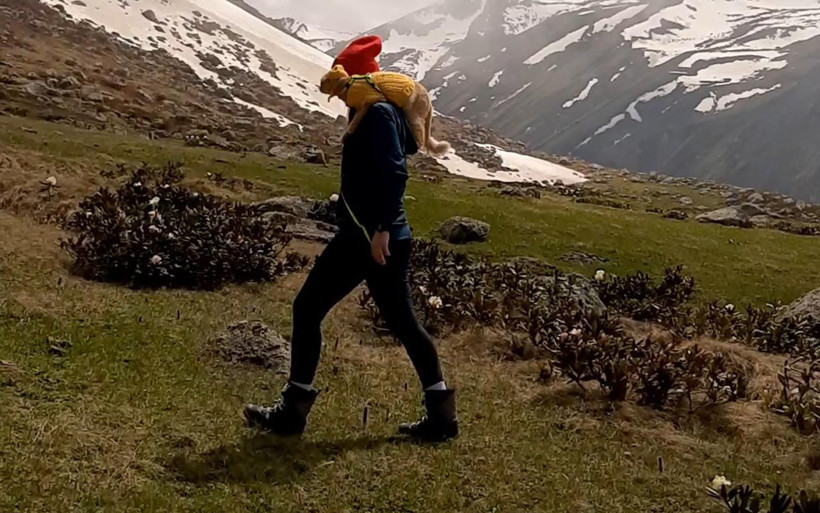 Nikahta bile kedisini omzundan indirmedi Artvin'de 'kedili kız' diyorlar balayına da... - Resim: 2