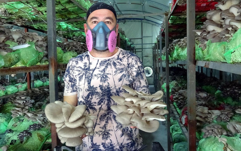 Hobi olarak başladı 3 tesis kurdu! Emekli astsubay yılda 40 ton üretip birçok ile gönderiyor - Resim: 1