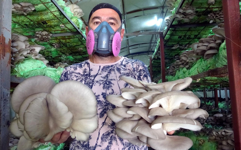 Hobi olarak başladı 3 tesis kurdu! Emekli astsubay yılda 40 ton üretip birçok ile gönderiyor - Resim: 2