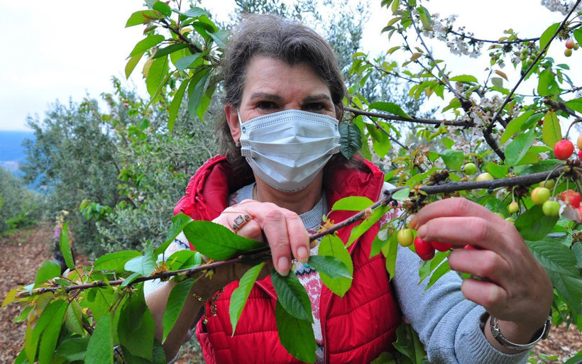 İstanbul yaramadı şehir hayatından kaçtı! Kadın girişimci Manisa'da 20 ton üretip satıyor - Resim: 1