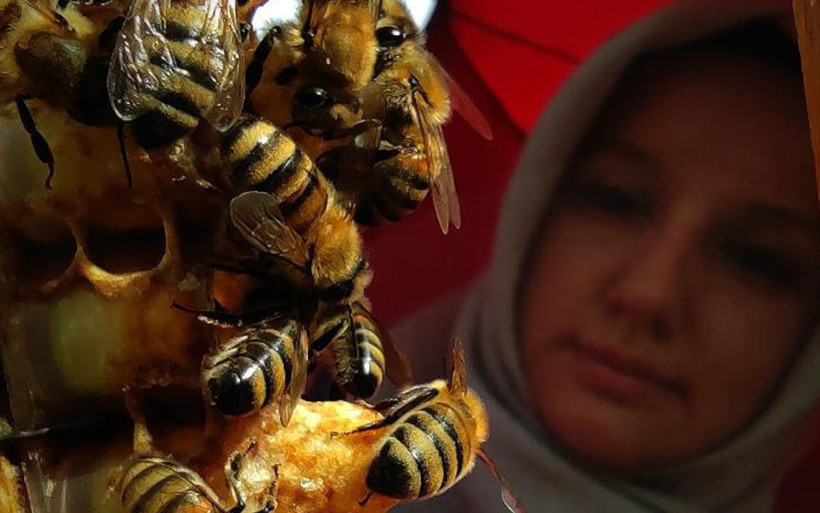 Bursa'da 3 aile gram gram sağıyor fiyatı dudak uçuklatan arı sütü yok satıyor! - Resim: 3