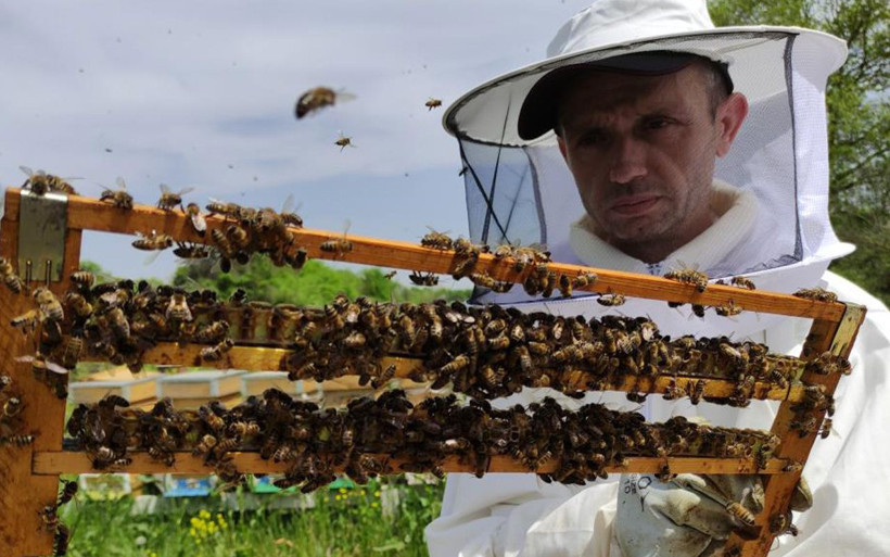 Bursa'da 3 aile gram gram sağıyor fiyatı dudak uçuklatan arı sütü yok satıyor! - Resim: 2