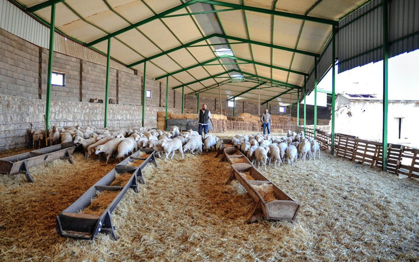 Biri yarbay diğeri Boğaziçi mezunu! Konya'da iki kardeş kariyerlerini bırakıp başladı - Resim: 4