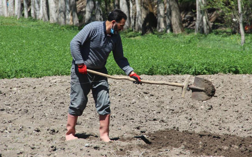 Erzurum'da dedesinden miras kaldı 'P' harfini andırıyor: TIR dolusu para verseler satmam - Resim: 1