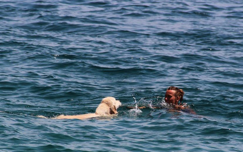 Antalya'da Rus turistin, 9 bin kilometrelik yoldan getirdiği köpeğiyle deniz keyfi! - Resim: 2