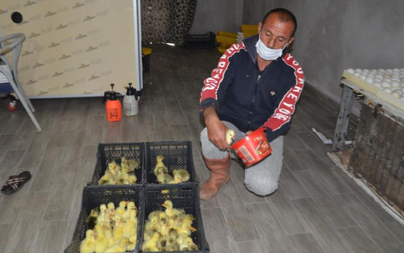 Hollanda'daki işini bırakıp Muş'a döndü! Yılda 5 bin tane üretiyor siparişlere yetişemiyor - Resim: 4