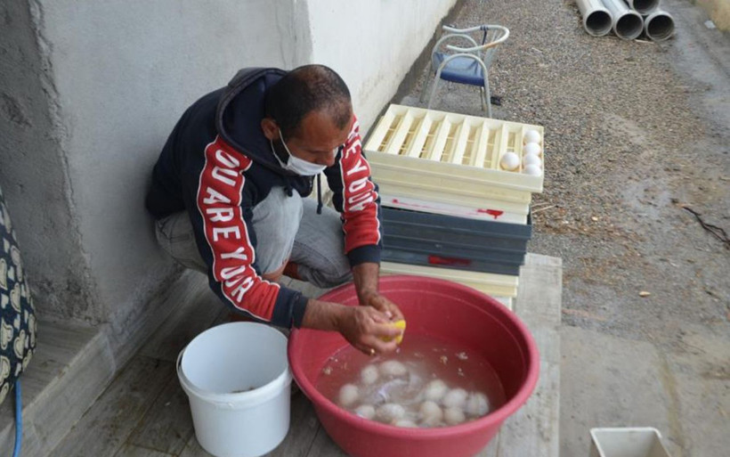 Hollanda'daki işini bırakıp Muş'a döndü! Yılda 5 bin tane üretiyor siparişlere yetişemiyor - Resim: 2