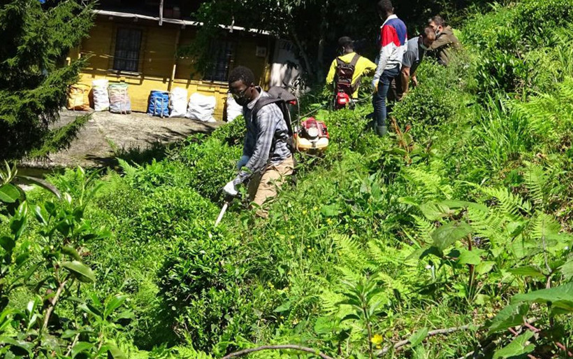 Gambiyalı çay işçileri bu sezon da Rize'de iş başında - Resim: 3