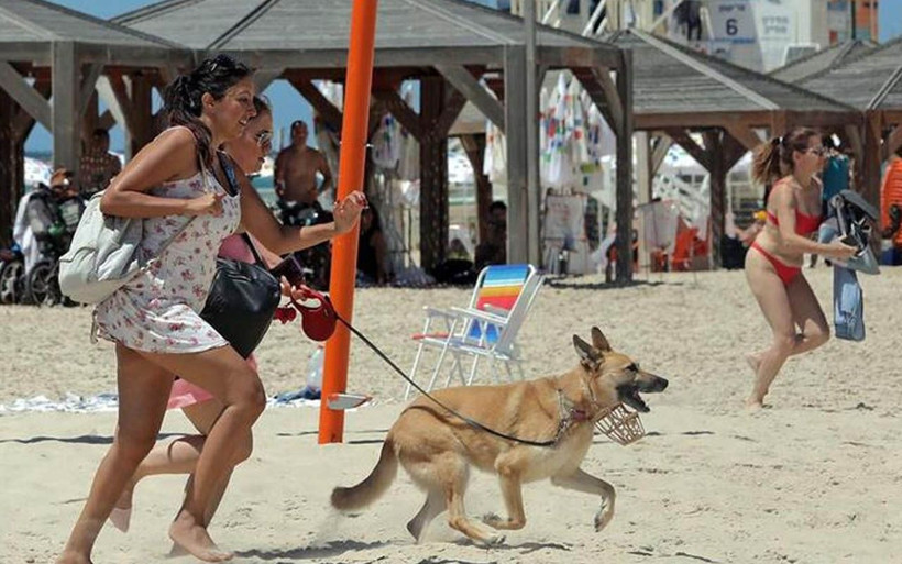 Hamas'ın saldırısı İsraillileri korkuttu! Plajdaki yüzlerce kişi sığınaklara kaçtı - Resim: 3