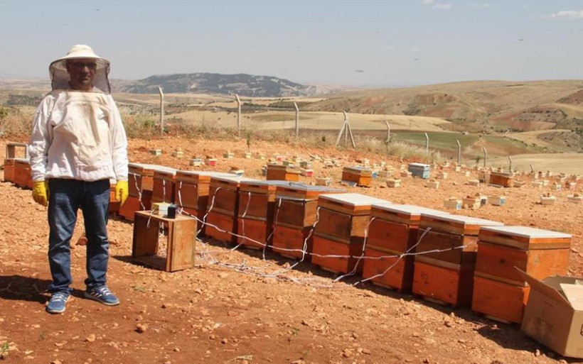 Camda 30 dakika bekletiliyor gramı 500 TL! Adıyaman'da arı zehri üretimi başladı - Resim: 4