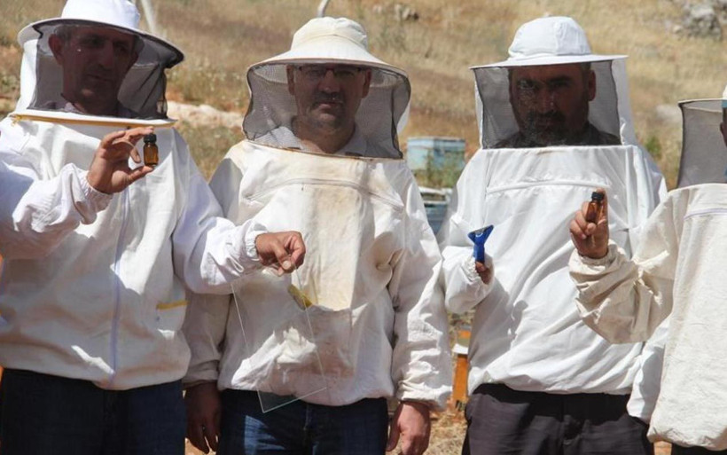 Camda 30 dakika bekletiliyor gramı 500 TL! Adıyaman'da arı zehri üretimi başladı - Resim: 1