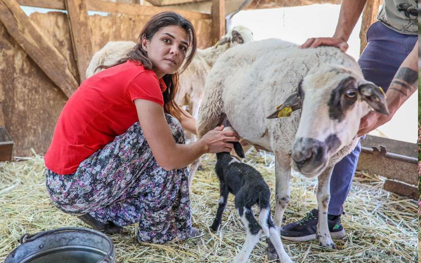 Zor günleri geride bıraktı! 'Memurlar şok oldu' diyen Melek İpek: Şimdiki aklım olsaydı... - Resim: 4