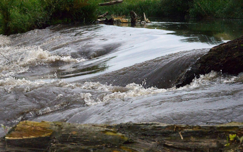 Marmara Denizi'nin katili dereleri kirletenler! 'Bölgenin foseptik çukuru haline döndü' - Resim: 1
