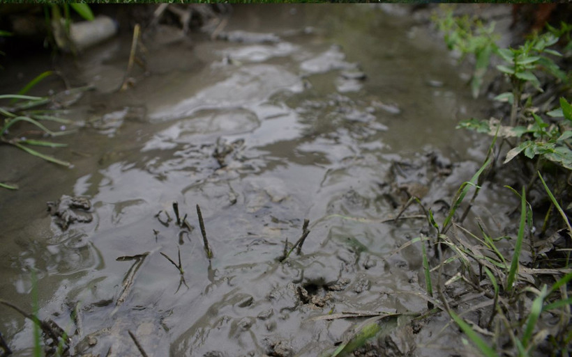 Marmara Denizi'nin katili dereleri kirletenler! 'Bölgenin foseptik çukuru haline döndü' - Resim: 3