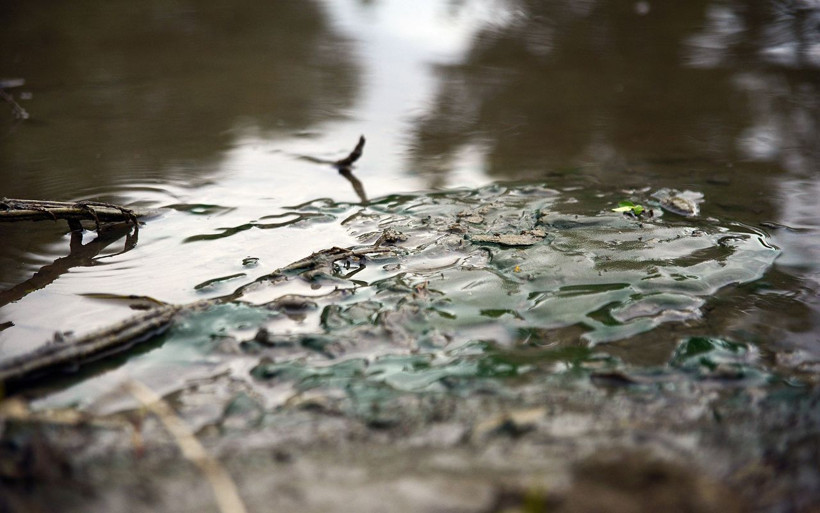 Marmara Denizi'nin katili dereleri kirletenler! 'Bölgenin foseptik çukuru haline döndü' - Resim: 4