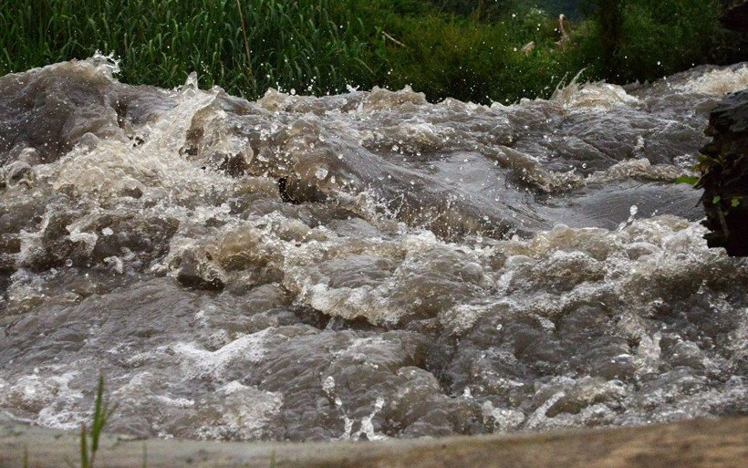 Marmara Denizi'nin katili dereleri kirletenler! 'Bölgenin foseptik çukuru haline döndü' - Resim: 2