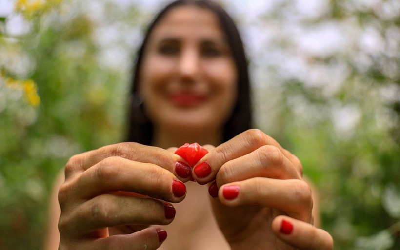 Antalya'da hostes Cemre gezerken gördü! Bir taneyle başladı 4 dönüm sera kurdu - Resim: 3