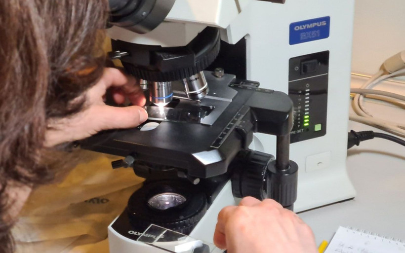 Strese soktu! Müsilaj incelemesinin ilk sonuçları şaşırttı: Yeni bir canlı türü bulduk - Resim: 4