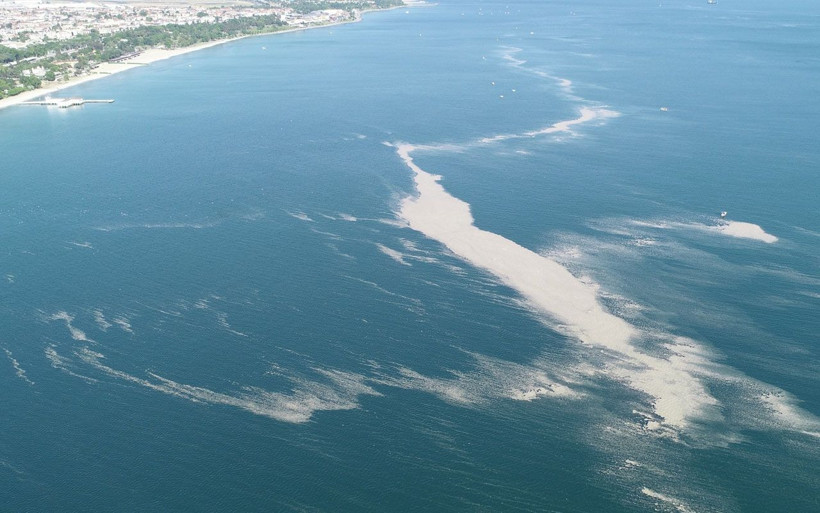 Küçükçekmece'de müsilaj adası oluştu - Resim: 1