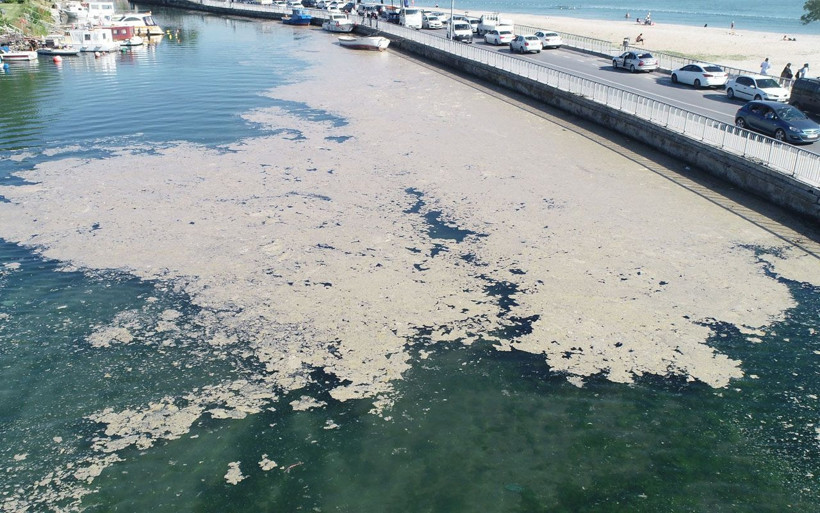 Küçükçekmece'de müsilaj adası oluştu - Resim: 3