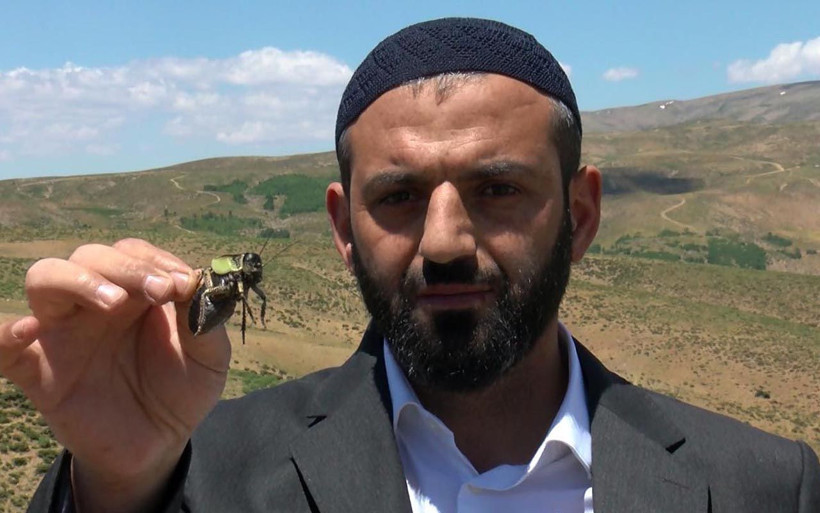 Çayır yiyen çekirgeler Muş Ovası'nı rota belirledi! Oraya ulaşırlarsa felaket olur - Resim: 3