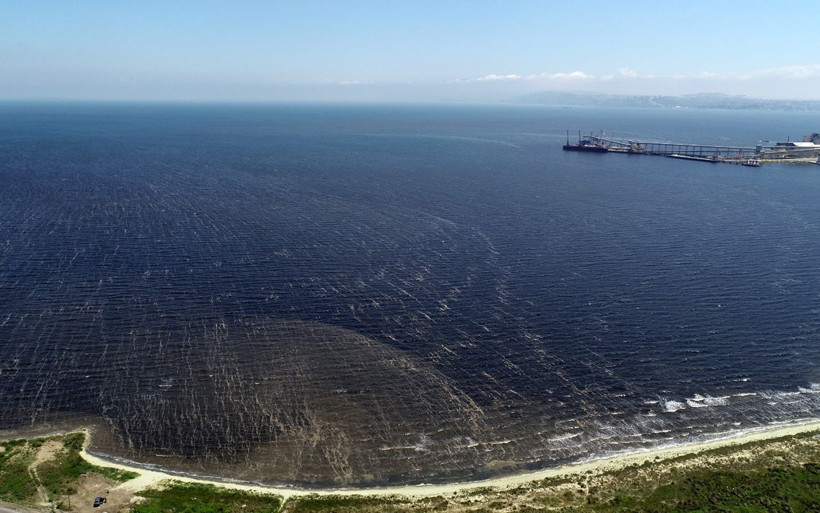 Bandırma sahilinde kumun rengi siyaha döndü müsilaj mahvetti - Resim: 3