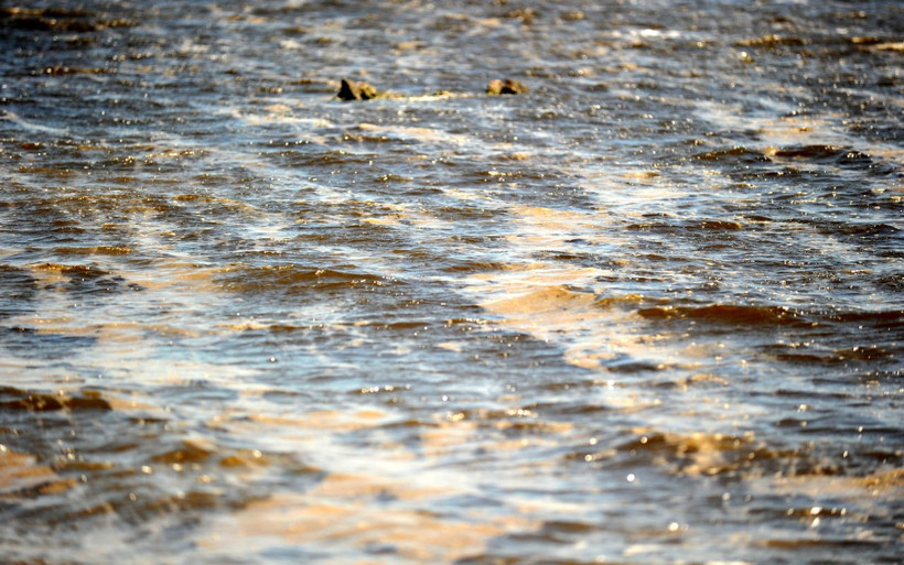 Bandırma sahilinde kumun rengi siyaha döndü müsilaj mahvetti - Resim: 2