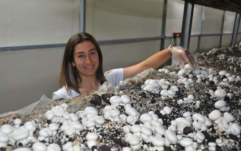 11 yıl özel sektörün kahrını çekti Ordu'da tesis kuran kadın siparişlere yetişemiyor - Resim: 1