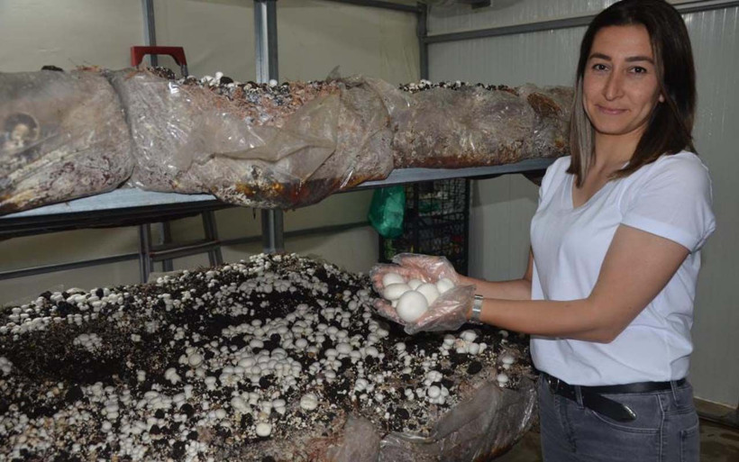 11 yıl özel sektörün kahrını çekti Ordu'da tesis kuran kadın siparişlere yetişemiyor - Resim: 4