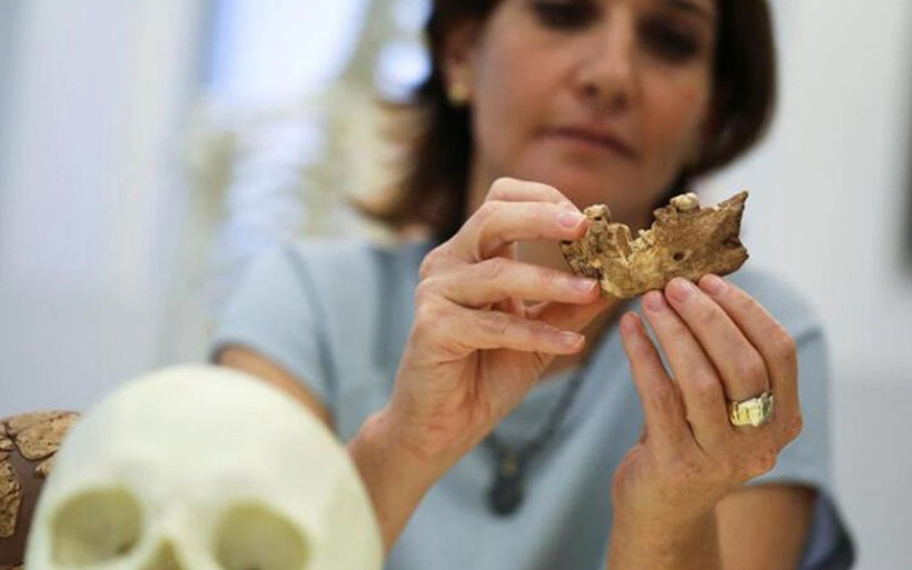 Yeni antik insan türü bilim insanlarını şaşırttı! İsrail'de tesadüfen bulundu - Resim: 4
