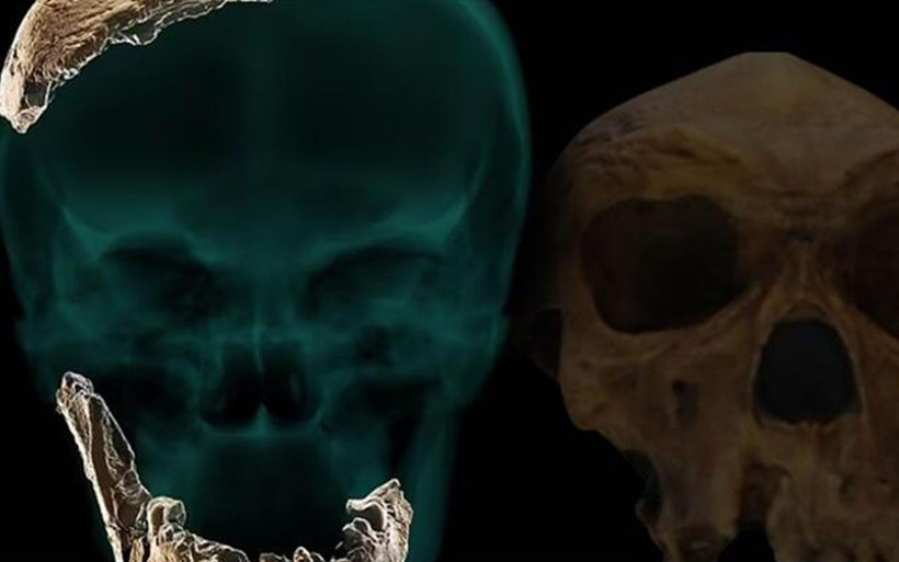 Yeni antik insan türü bilim insanlarını şaşırttı! İsrail'de tesadüfen bulundu - Resim: 1